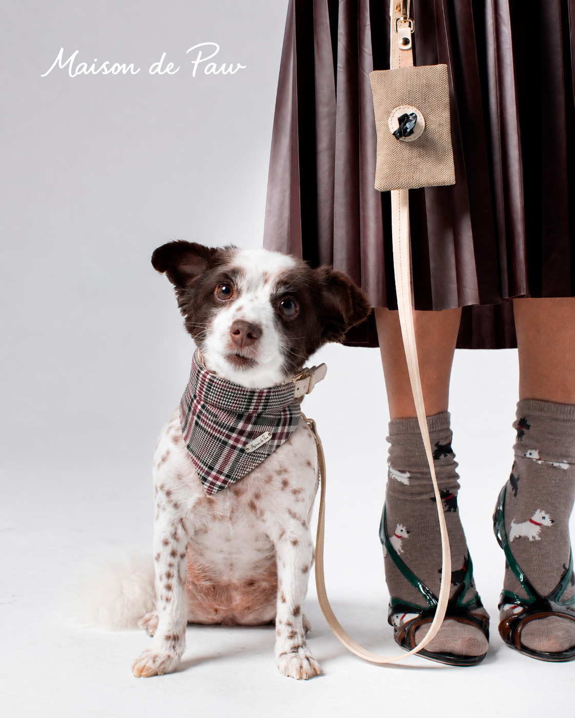 Medium Pet Accessories