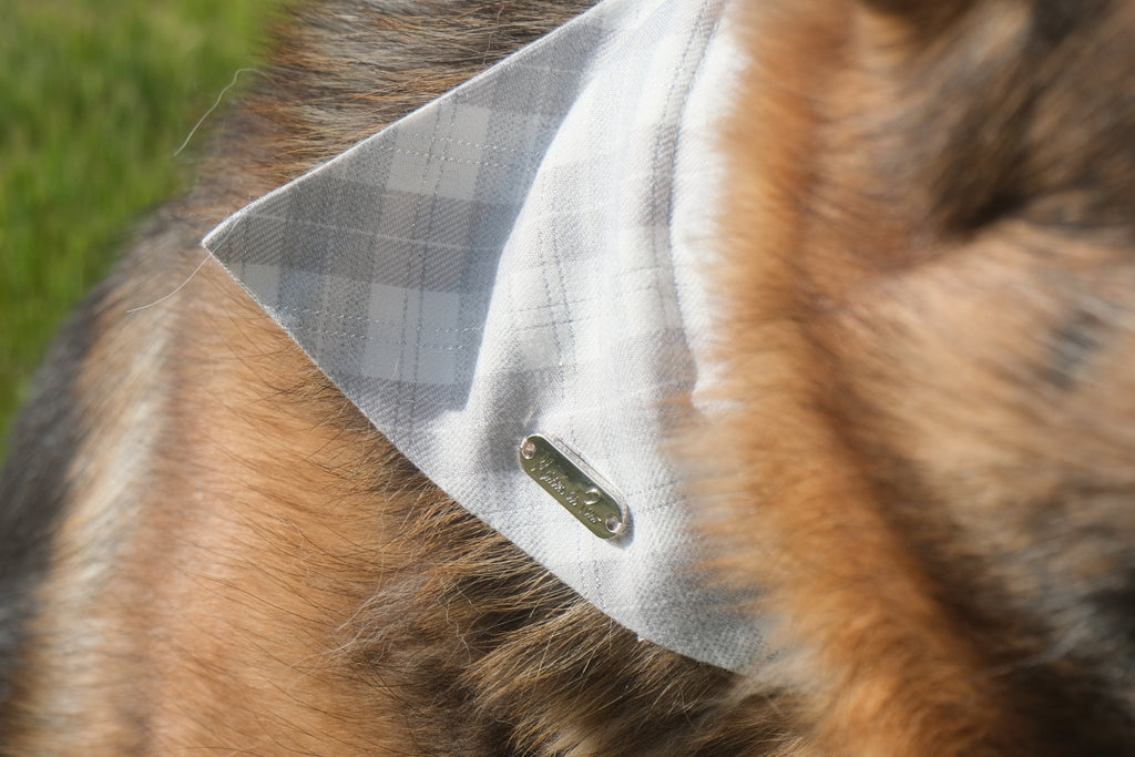 Grey Leather Collar with Bandana for Large pet - The Morning Mist Grey