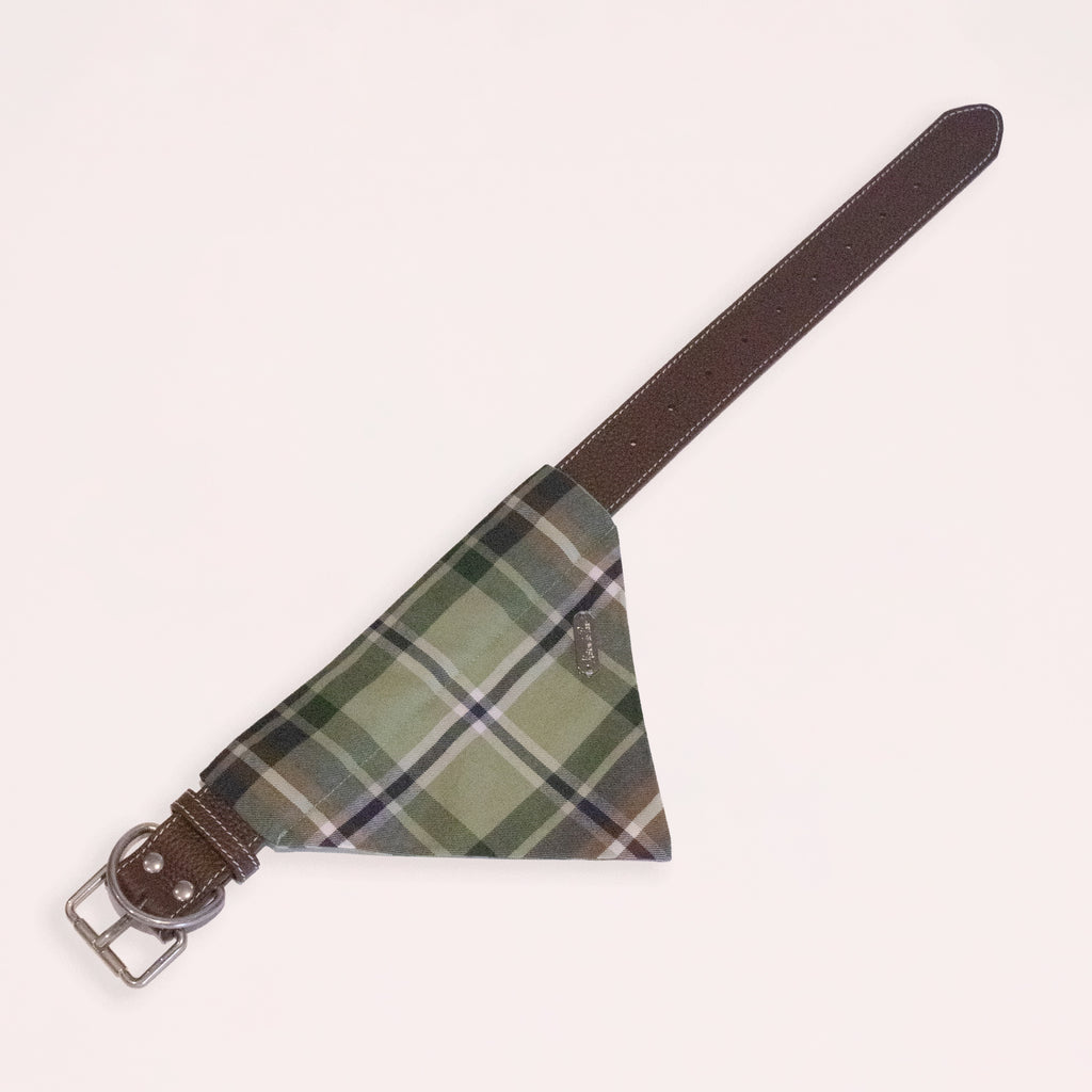 Brown Leather Collar with Bandana for Large Pet - Moss Beneath the Pines Green