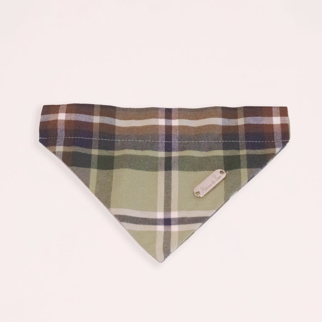 Brown Leather Collar with Bandana for Medium Pet - Moss Beneath the Pines Green