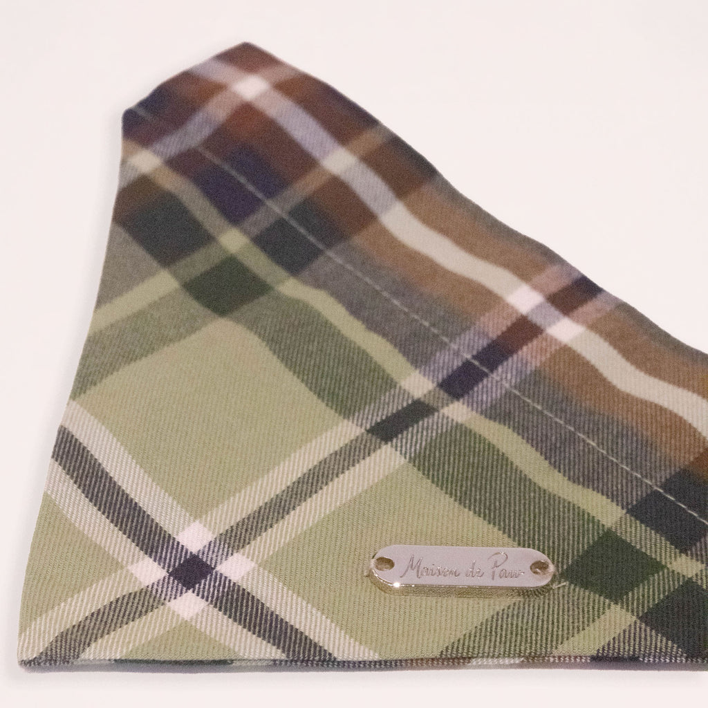 Brown Leather Collar with Bandana for Medium Pet - Moss Beneath the Pines Green