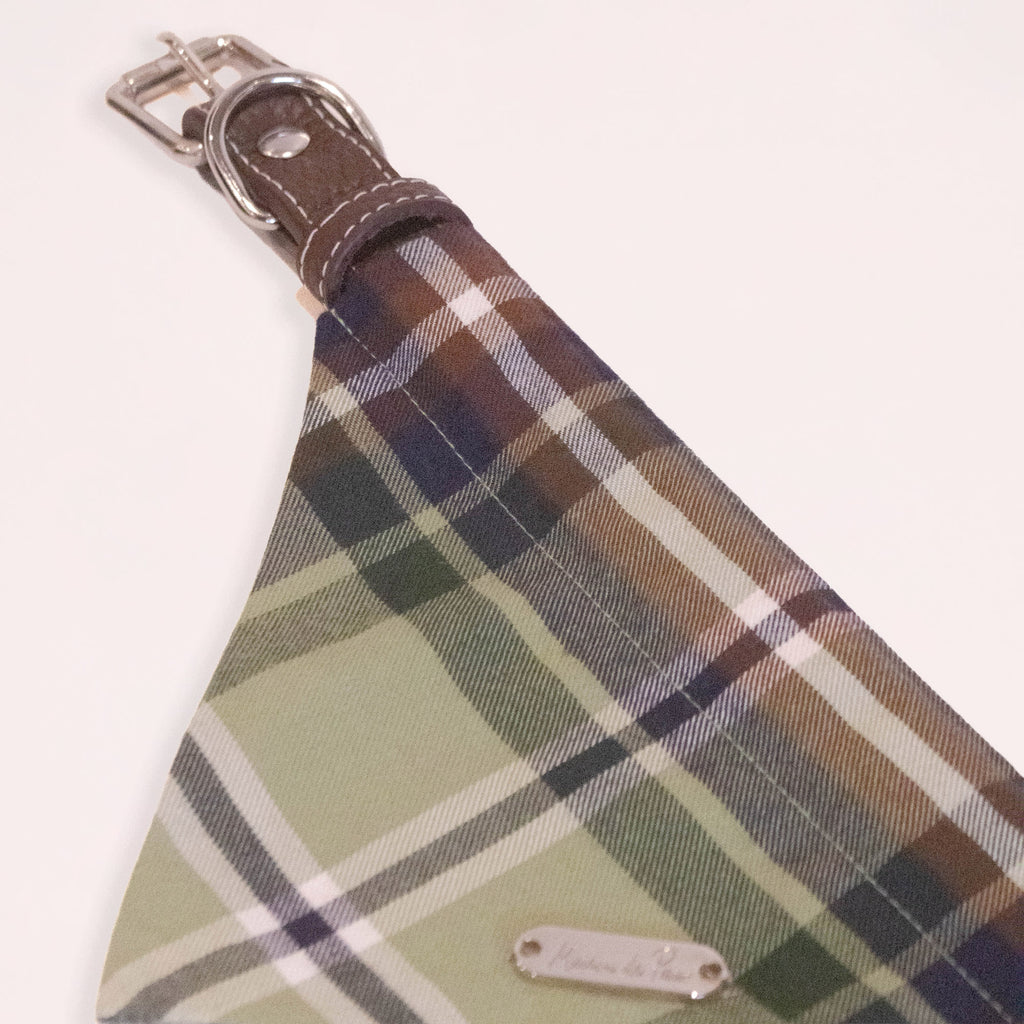 Brown Leather Collar with Bandana for Medium Pet - Moss Beneath the Pines Green