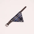 Brown Leather Collar with Bandana for Medium Pet - - The Open Sea Blue