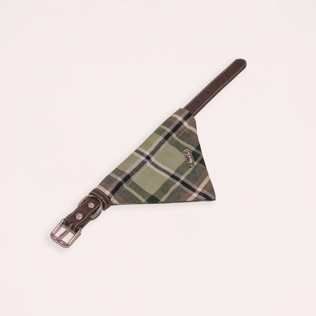 Brown Leather Collar with Bandana for Medium Pet - Moss Beneath the Pines Green